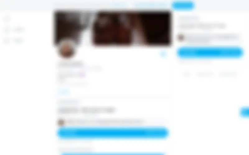 Preview of the Corinna Kopf homepage, intentionally obscured