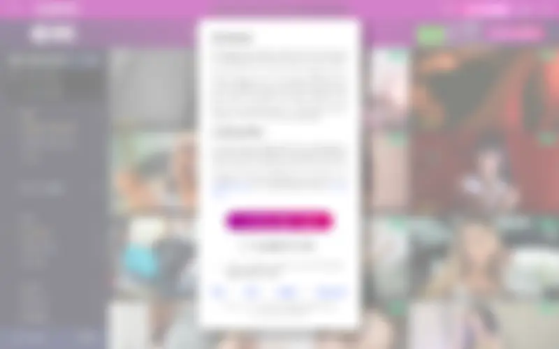 Preview of the xCams homepage, intentionally obscured